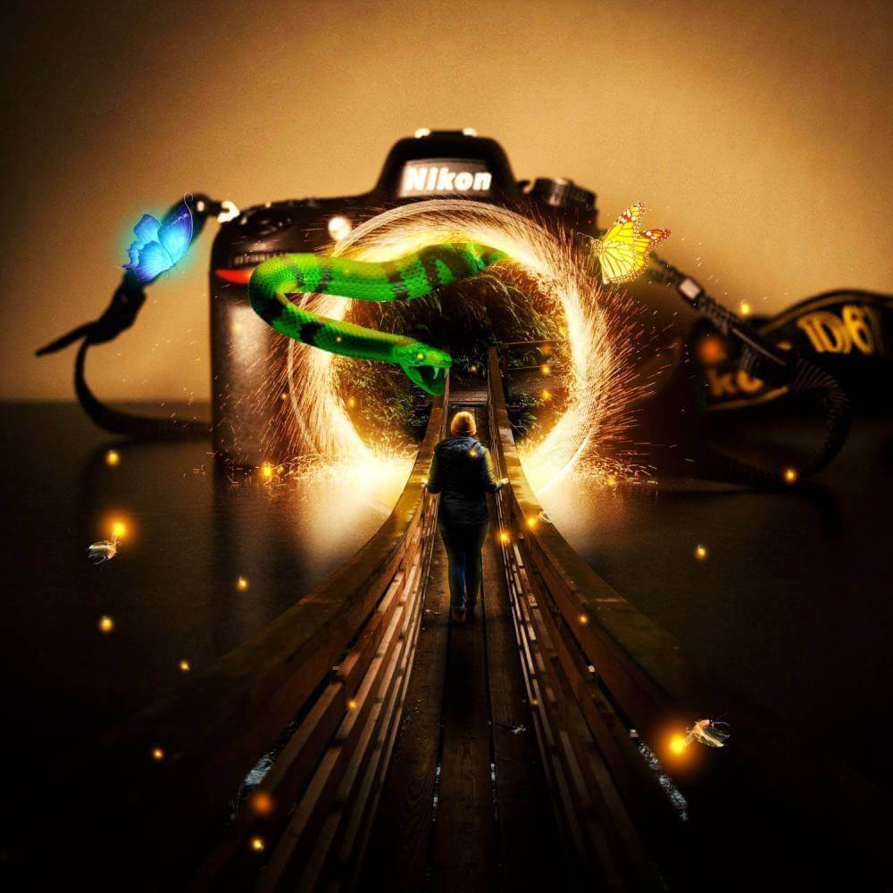 camera-manipulation