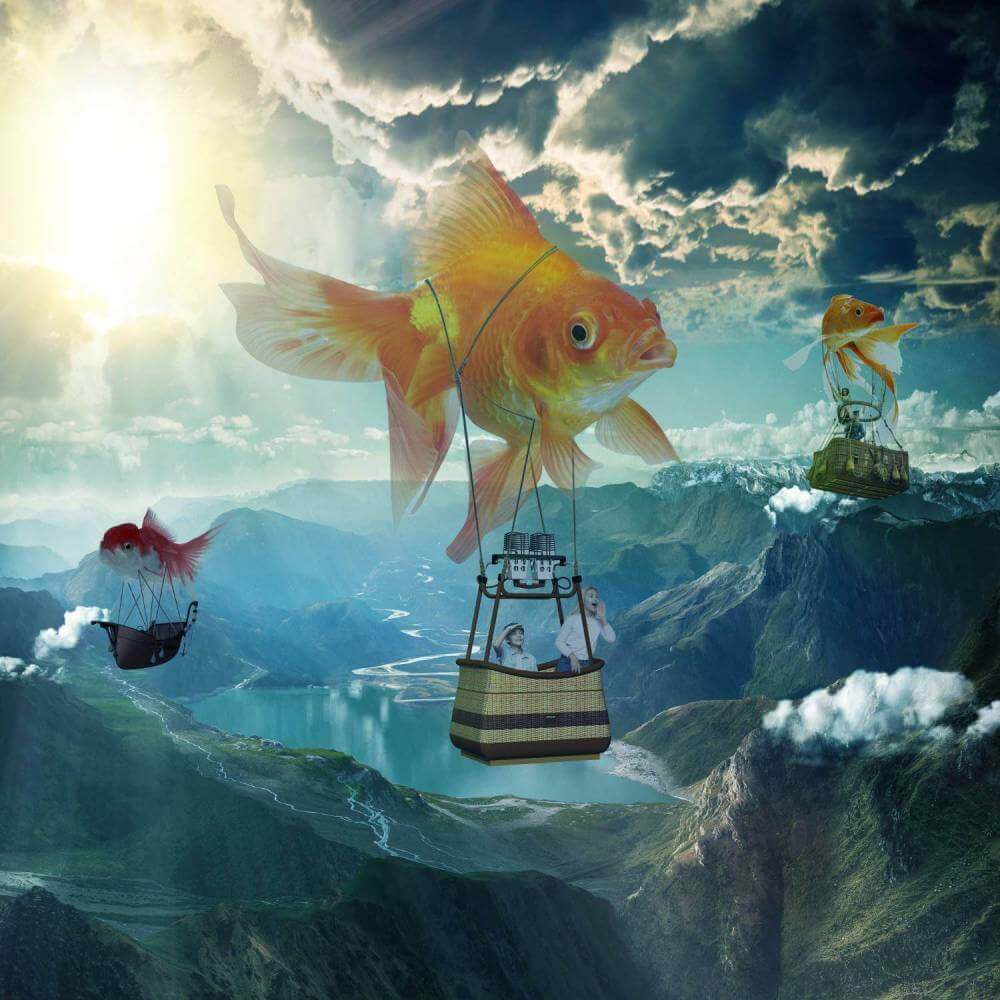fish-balloon