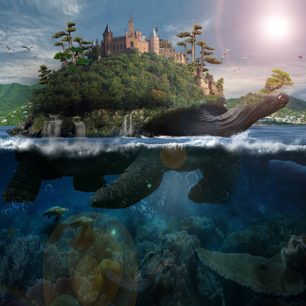 sea-turtle