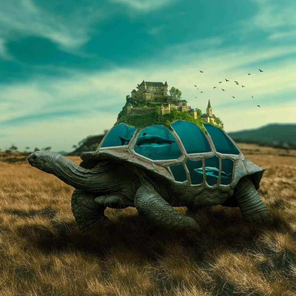 turtle-castle